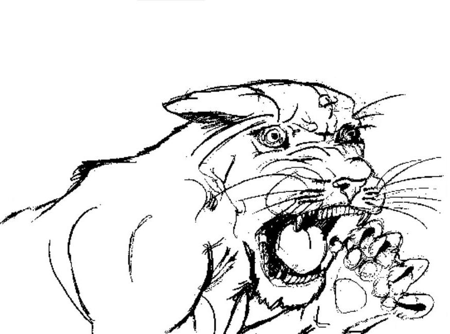 coloriage puma rugissant